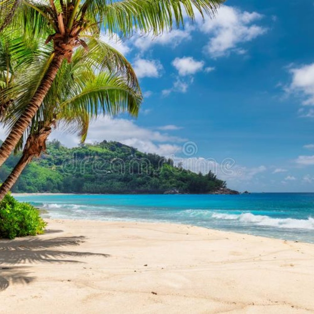 Meet your Posher, Mckenna